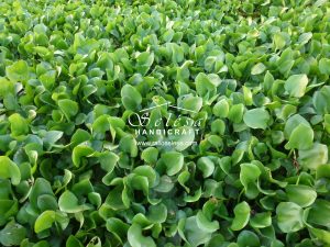 Natural Fiber Handicraft